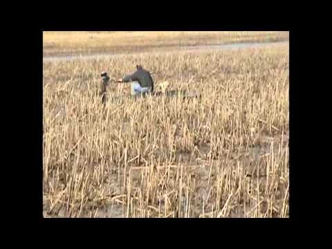 See video