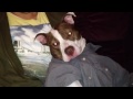 smallthumbnail
