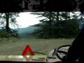 videos de IV 2008