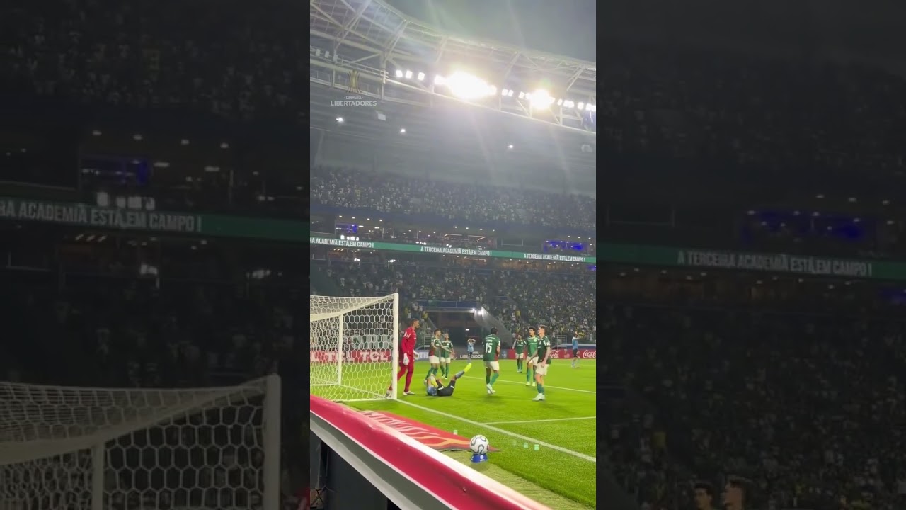 CARLOS MIGUEL! A DEFESA QUE GARANTIU OS TRÊS PONTOS PARA O PALMEIRAS NO ALLIANZ PARQUE! #shorts