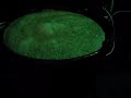 The wort in the giant copper kettle
