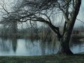 Au bord de l'eau by Aurélien