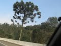chegando em Caxias do Sul