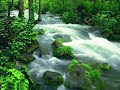 Relaxation Meditation Nature Sounds Relaxation Meditation Nature Sounds