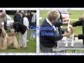 Companion Dog Show 2008