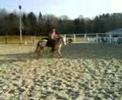 solenne et valentin a poney