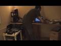 jaga jazzist-cinematic remix by jazztronicer(gokce)