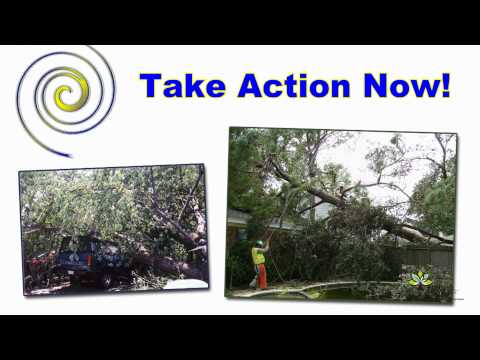 See video