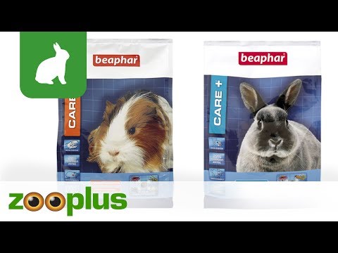Kleintierfutter Beaphar Care+ | Meerschweinchen- & Kaninchenfutter | zooplus