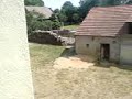 Zito - wartet unten auf mich