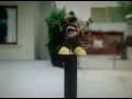 Yahh Trick Yahh (OFFICIAL MUSIC VIDEO)