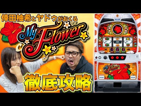 パチスロ新台『マイフラワー30』シナリオ推測徹底攻略【倖田柚希&ヤドゥ】