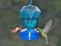 Hummingbirds and Quetzals of Costa Rica Hummingbirds and Quetzals of Costa Rica