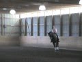 Capezio - Holsteiner Dressage Horse For Sale