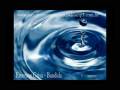 Bandida Emerson Grisa - youtube.wmv