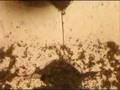 Stalker - the pool sequence (Tarkovsky-Artemiev)