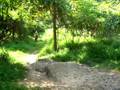 videos de Our Old TRAILS