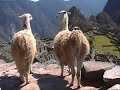 Los Incas