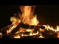 Most Relaxing Video Ever