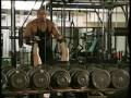 Training Herren Trizeps French