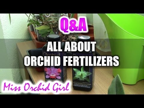 how to fertilize orchids