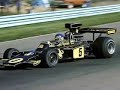 Ronnie Peterson Tribute