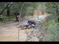 GCDSR-Gold-Country-D