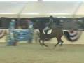 Cerena at Sacramento International Horse Show