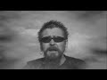 Metuja - Repaleinen P�iv�perho MUSAVIDEO 2008