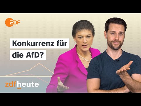 Wagenknecht vs. AfD: Was wirklich im BSW-Programm steht ...