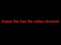 amigas-cheetahs.html