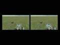 Stereo Vision in Garrys Mod