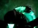 Wildsch�tz dive station #2