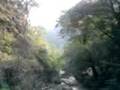 rishikesh water fall 4