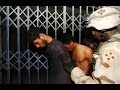 معاناة السجناء العراقيين اثناء الاحتلال الامريكي