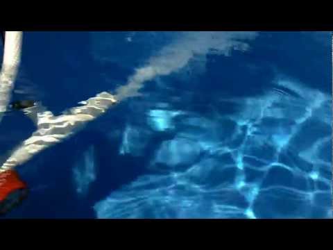 how to care for a ozone pool