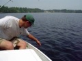 Bass remix