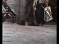 Presoen bihotza gazteon ahotan