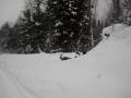 videos de Sledding