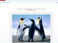 Live Rotator - Integration w/Live Content Live Rotator - Integration w/Live Content