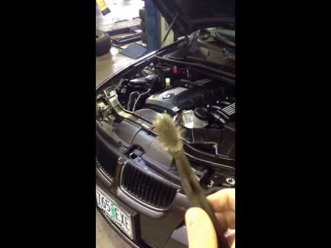 how to stop alternator belt squealing