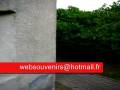 videos de MEZQUITA DE SANTIAGO 2008.wmv