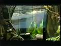 videos de MODERN TRENDS-8 PAPER CARTONS