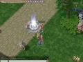 The Warper