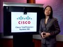 Cisco TelePresence System 500 Video Data Sheet