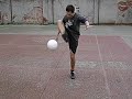 Pato alexander