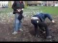 boompje planten