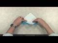 Robert Lang teaches Origami:  Sparrow - IMA