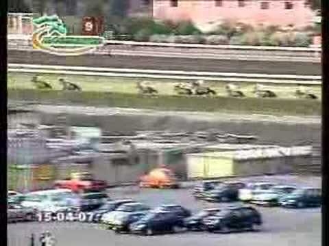 CL.MIGUEL A. CHECA EGUIGUREN 2007 - ...
