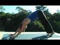 Yoga DVD- Yoga: Gentle Vinyasa Flow by Real Bodywork